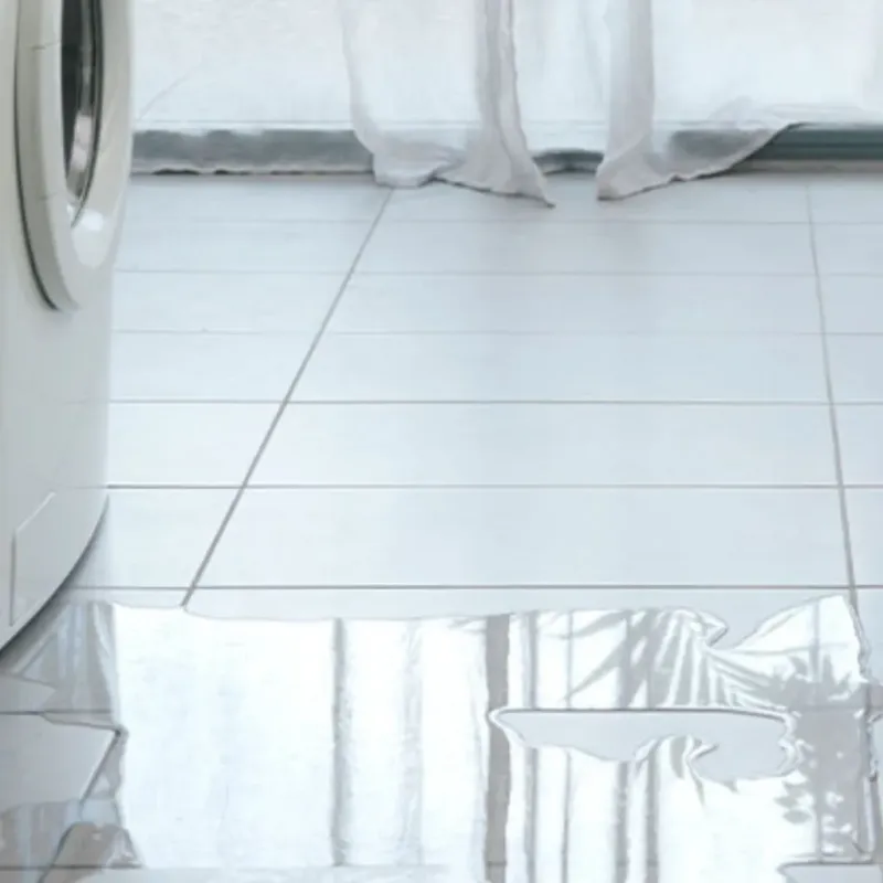 Appliance Leak Cleanup in North Lewisburg, OH