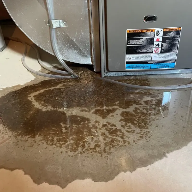 Pipe Burst and Leak Restoration in North Lewisburg, OH
