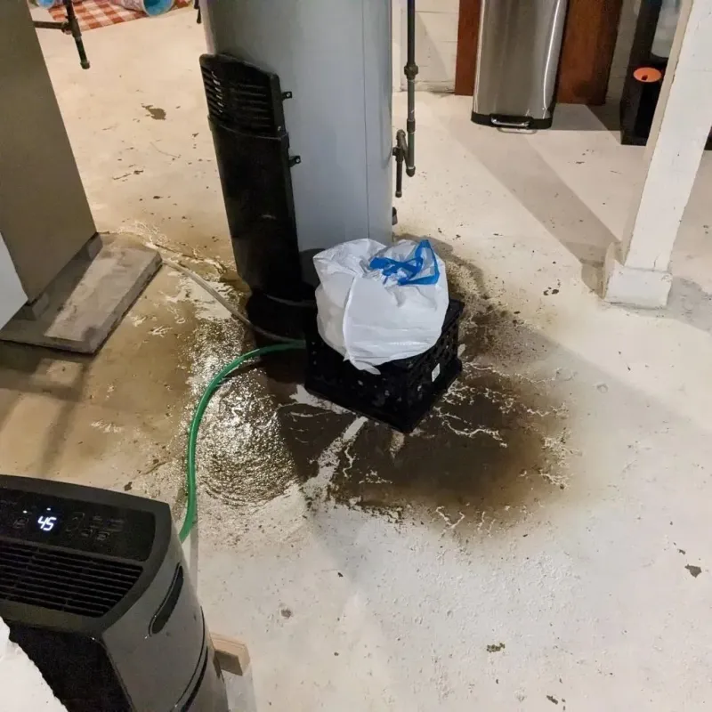 Sewage Backup Cleanup Service in North Lewisburg, OH